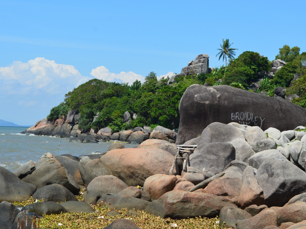 Nội dung chi tiết